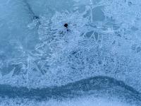 Eisdecke mit Kristallen an einem Bächlein